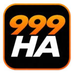 999ha game favicon image