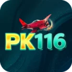 PK116 favicon image